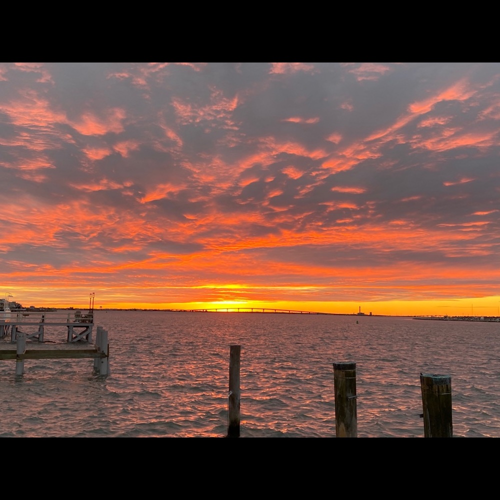 Meet your Posher, Fern